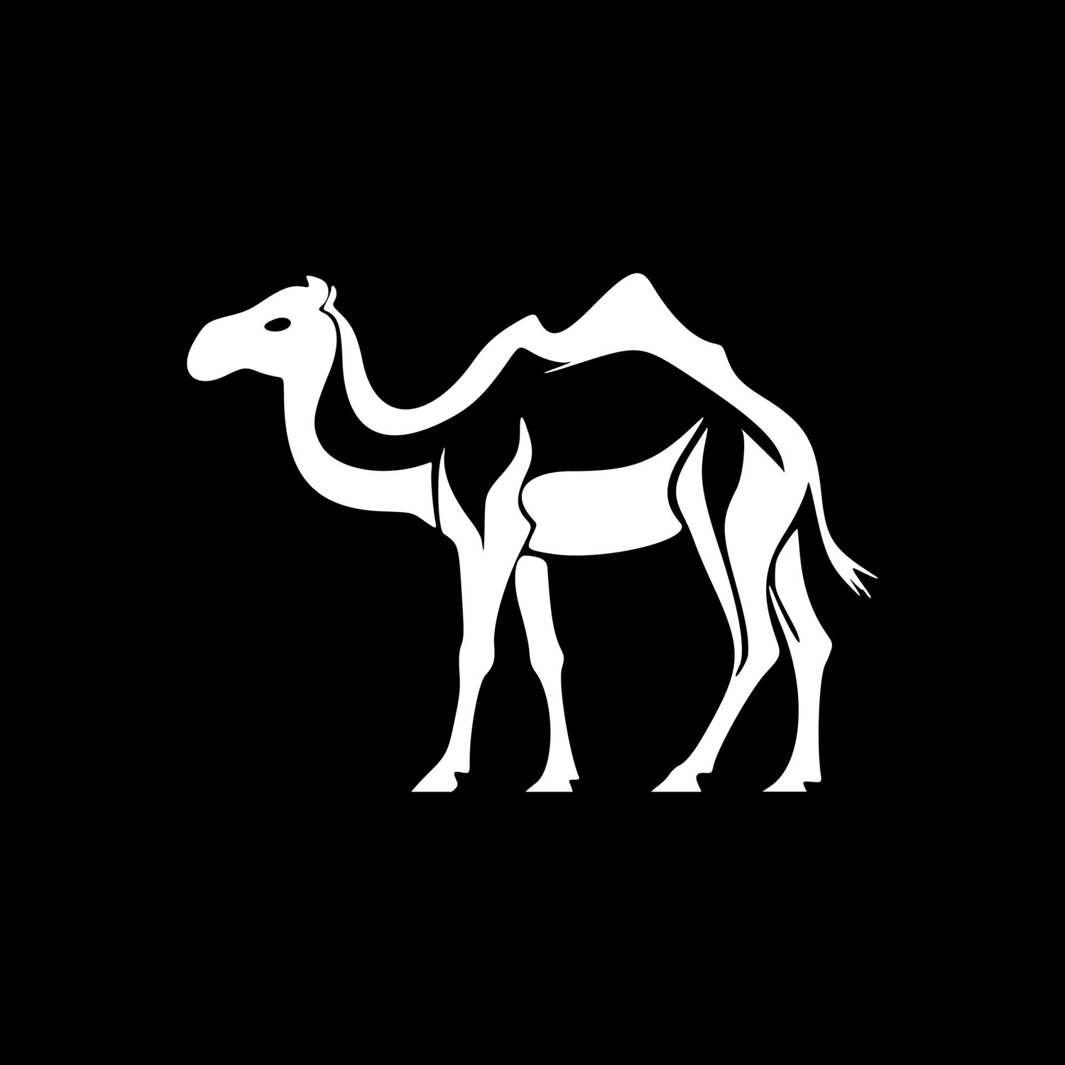 Camel